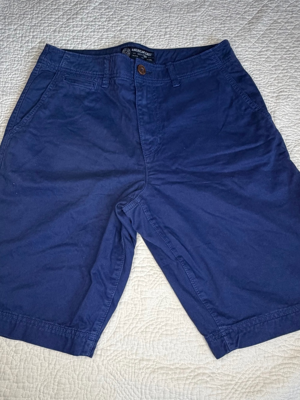 American Eagle Outfitters Navy Blue Flat Front Men’s Shorts